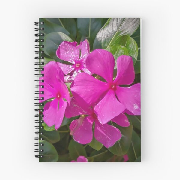 Artikelvorschau, Pinke Blumen entworfen und verkauft von YoussefAlgazzar.