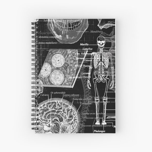 Artikel-Vorschau von Röntgen des medizinischen Skeletts, designt und verkauft von Talley Arce.