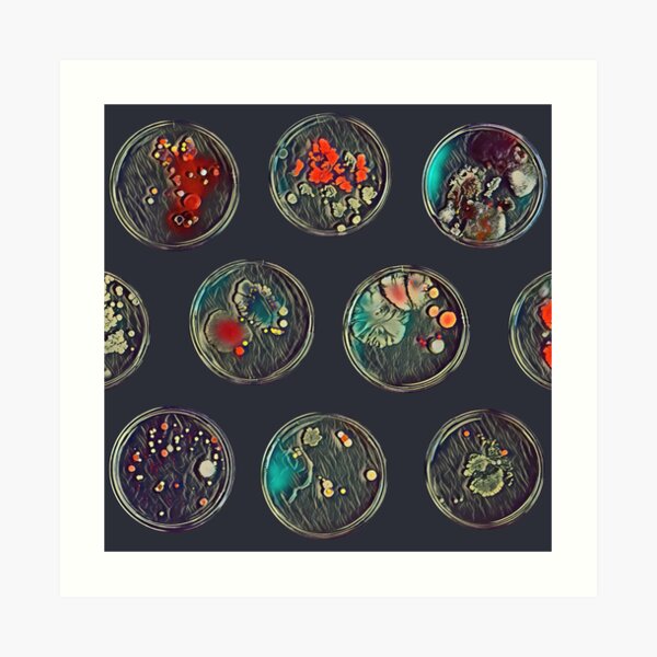 Petri dishes Art Print