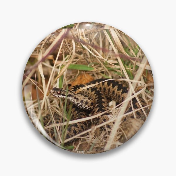 Item preview, Adder designed and sold by Kerrie-Ann Ellison.