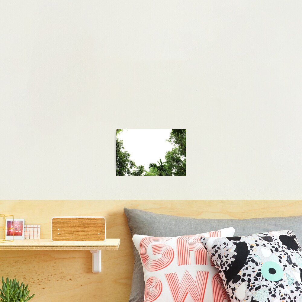 Item preview, Photographic Print designed and sold by FCEalin.
