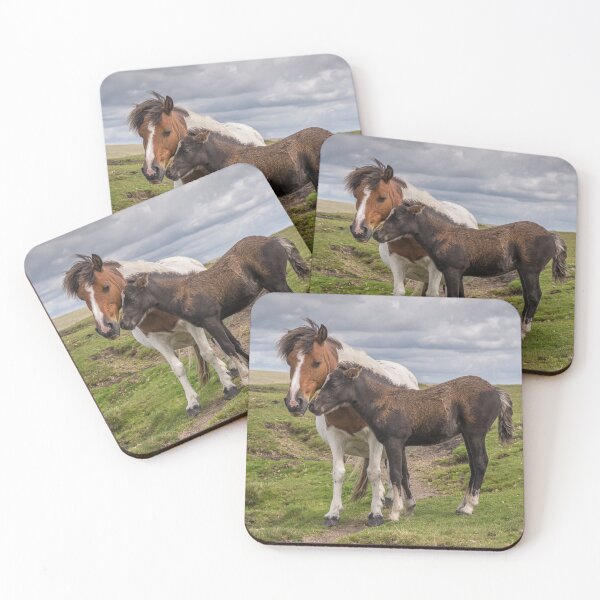 Item preview, Dartmoor ponies designed and sold by Steve Liptrot Photography.