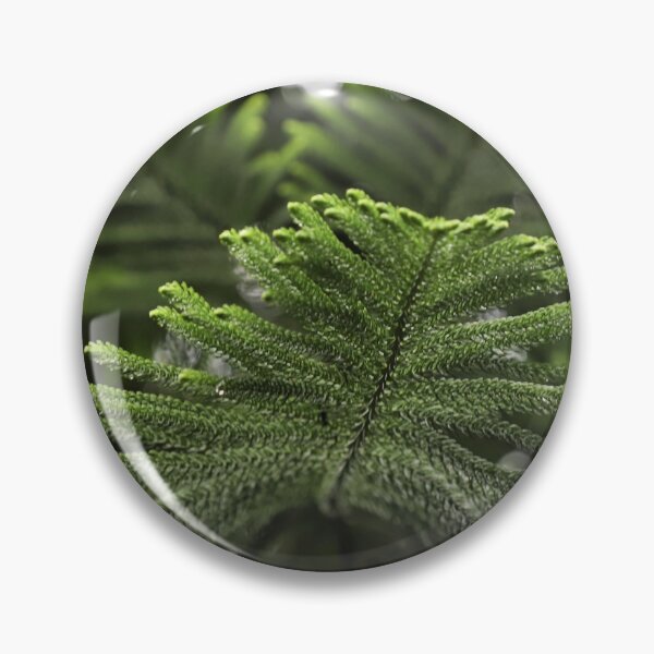 Item preview, Fresh pine tree leaves close-up texture designed and sold by FCEalin.