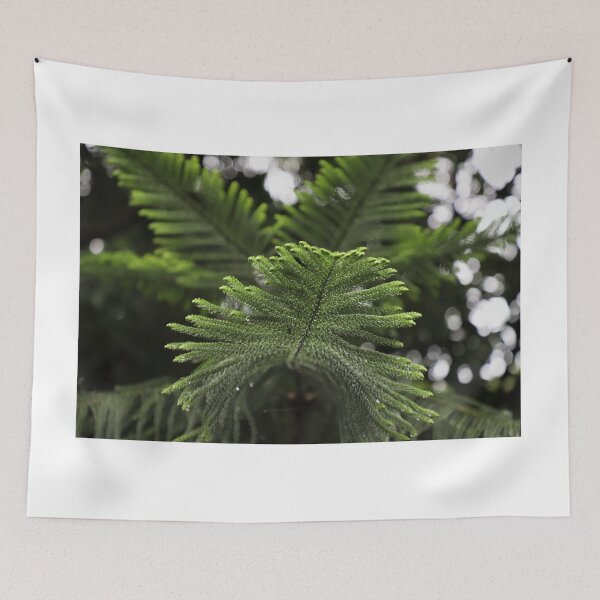 Item preview, Fresh pine tree leaves close-up texture designed and sold by FCEalin.