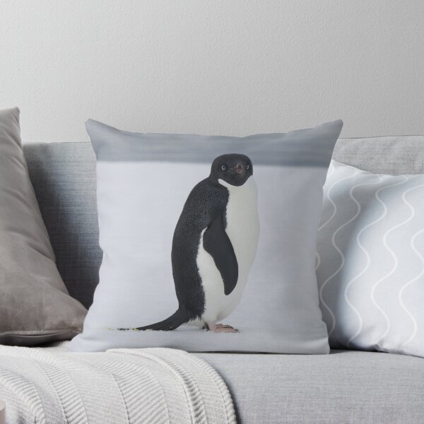 Artikelvorschau, Penguin stare entworfen und verkauft von JessieRabbit.