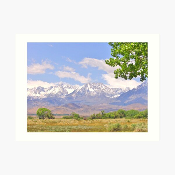 Mountain Dreams Art Print