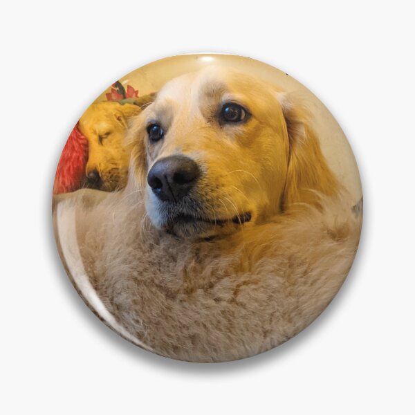 Item preview, Bella & Kai (golden retriever & Pomeranian) designed and sold by Fluffycat2020.