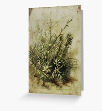 Spreading Wattle Greeting Card
