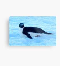 Penguin 1 Metal Print