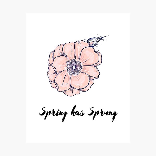 Spring has Sprung Photographic Print