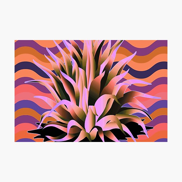 Groovy Agave Succulent Century Plants Photographic Print