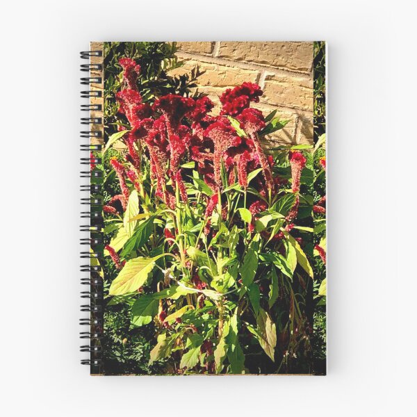 Item preview, Red Velvet Flowers Lambton  designed and sold by KazM.