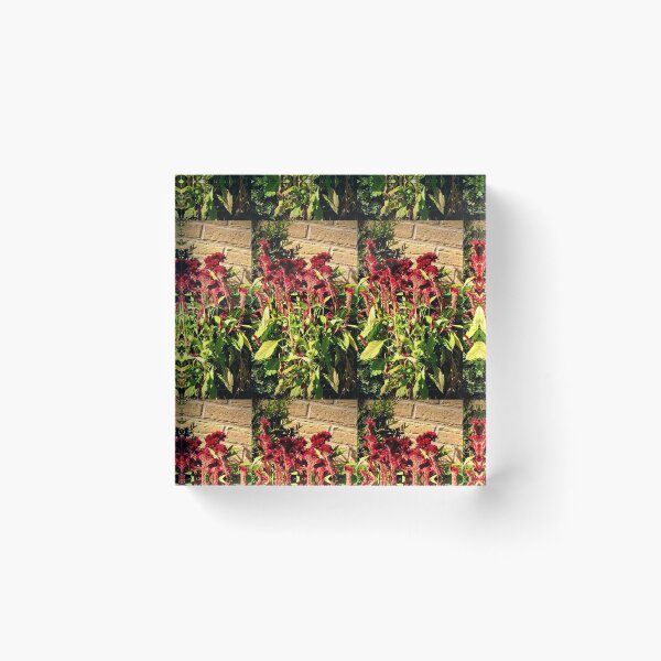 Item preview, Red Velvet Flowers Lambton  designed and sold by KazM.