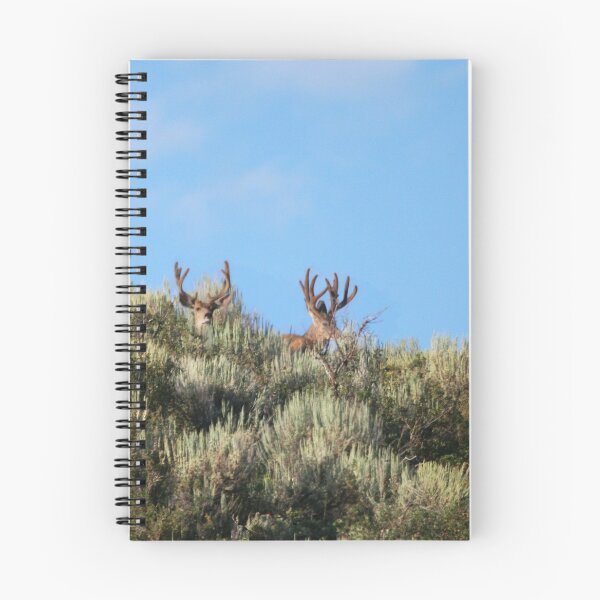 Item preview, Summer mule deer bucks designed and sold by Saltypro.