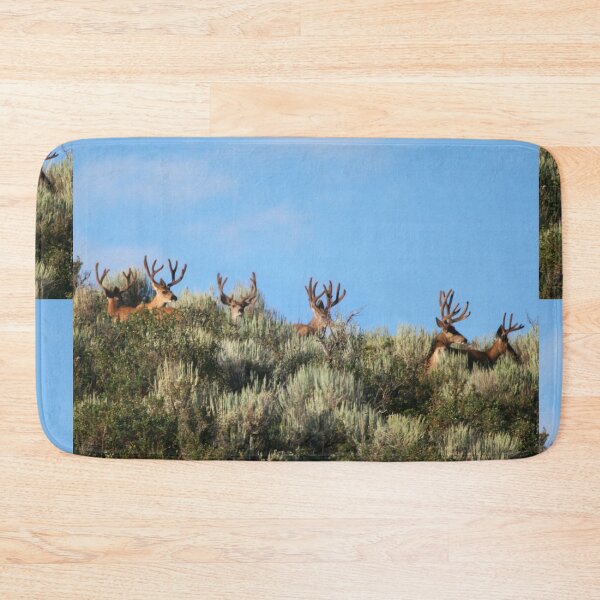 Item preview, Summer mule deer bucks designed and sold by Saltypro.