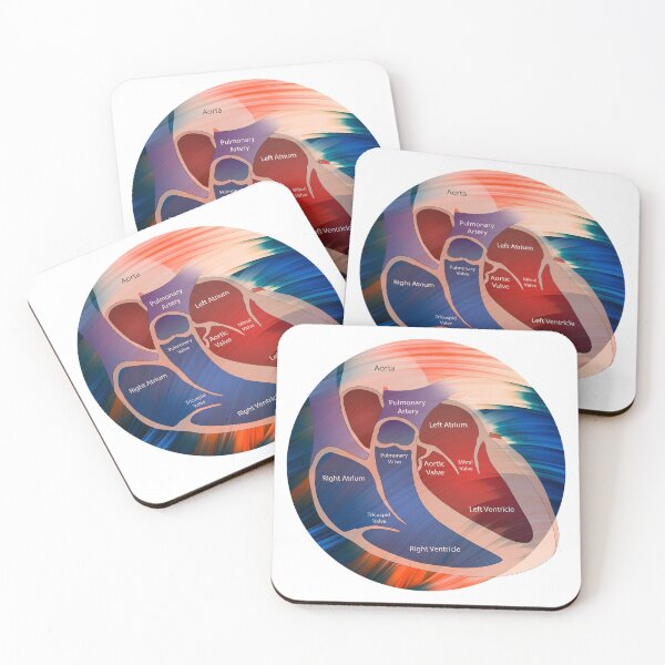 Item preview, Right Chamber of the Human Heart Anatomy designed and sold by Independence arrival.