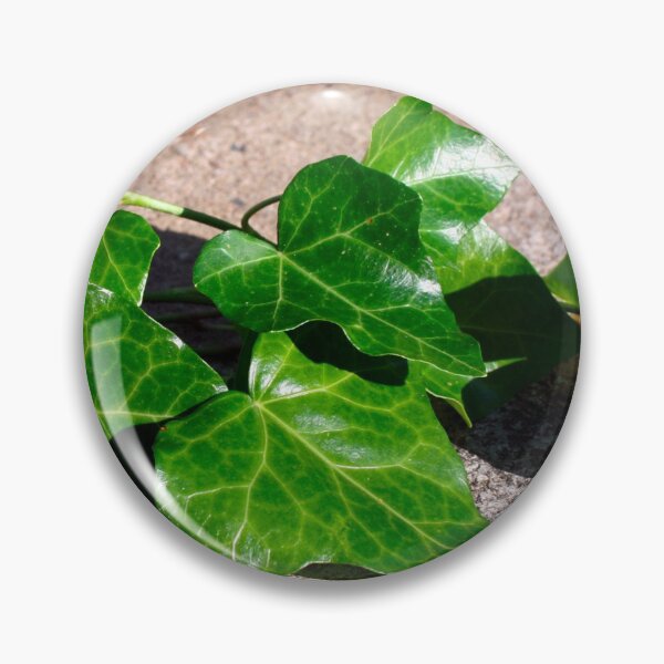 Item preview, Green Ivy on a Concrete Background  designed and sold by PrettyLittlePic.