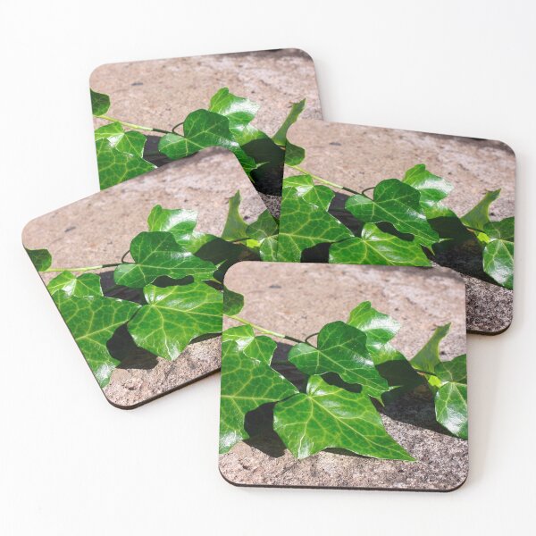 Item preview, Green Ivy on a Concrete Background  designed and sold by PrettyLittlePic.