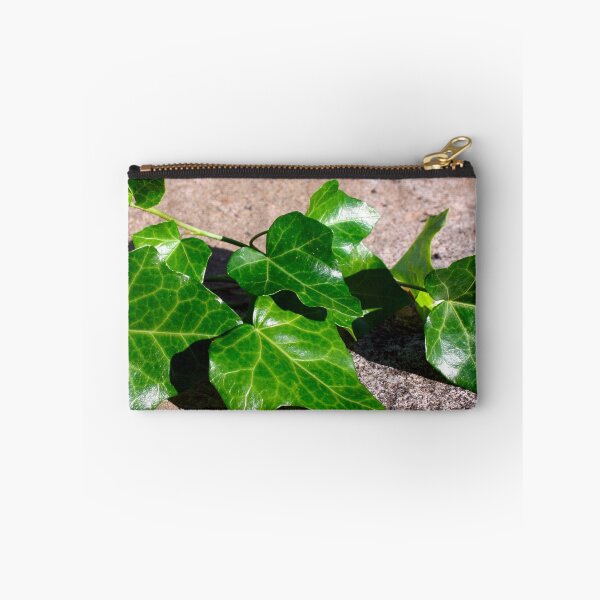 Item preview, Green Ivy on a Concrete Background  designed and sold by PrettyLittlePic.