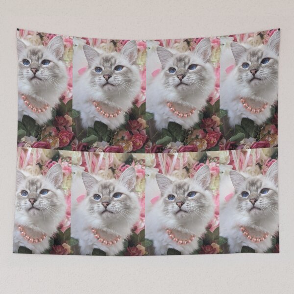 Item preview, Saoirseragdoll, a lynx ragdoll cat like no other designed and sold by Fluffycat2020.