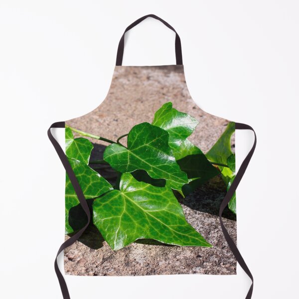 Item preview, Green Ivy on a Concrete Background designed and sold by PrettyLittlePic.