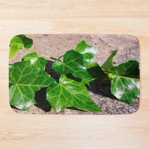 Item preview, Green Ivy on a Concrete Background  designed and sold by PrettyLittlePic.