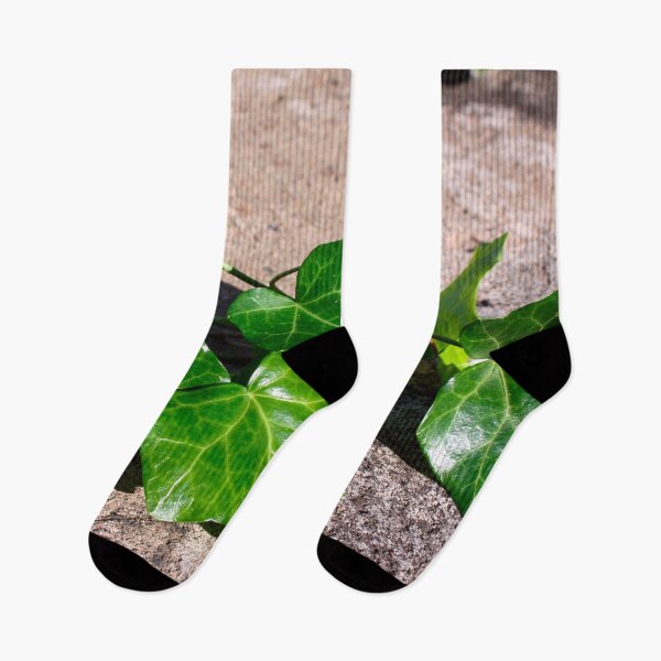 Item preview, Green Ivy on a Concrete Background  designed and sold by PrettyLittlePic.