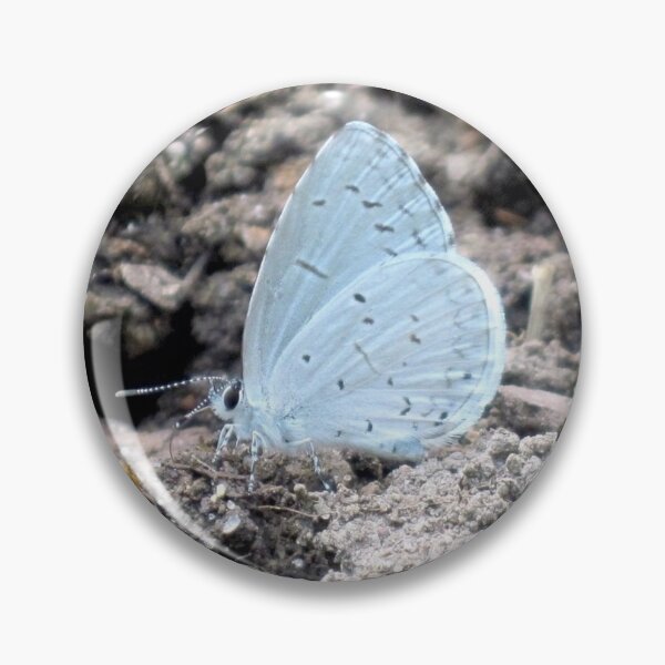 Item preview, The Most Magical designed and sold by Glorimagi.