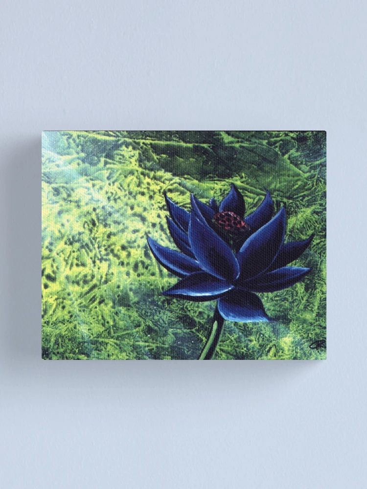 black lotus