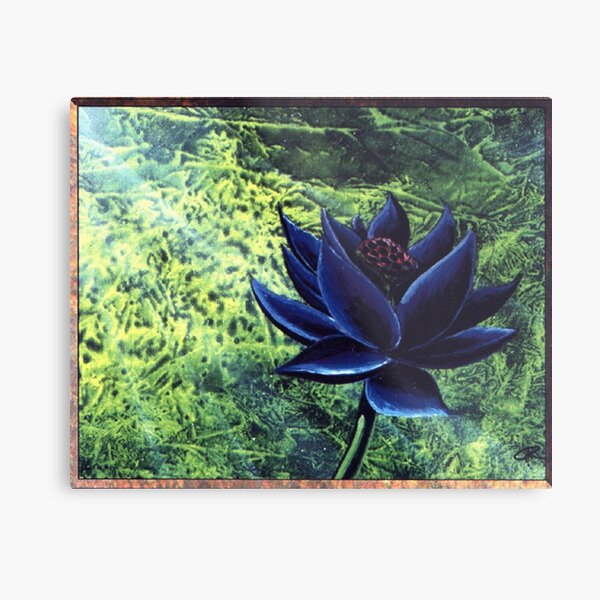 black lotus Metal Print