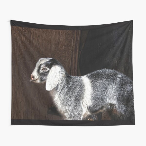 Download Baby Goat Tapestries Redbubble