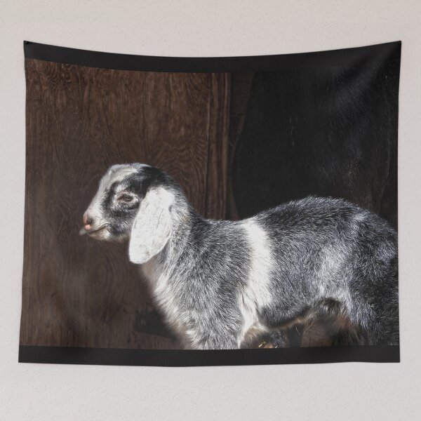 Item preview, cute gray and white baby goat designed and sold by Stephanie  Skeem.