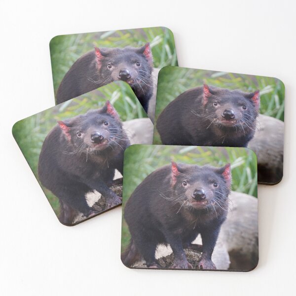 Item preview, Tassie Devil designed and sold by D-GaP.