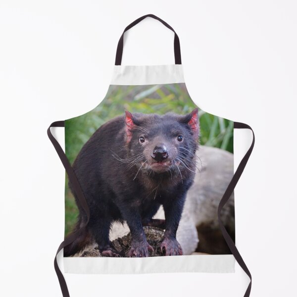 Item preview, Tassie Devil designed and sold by D-GaP.