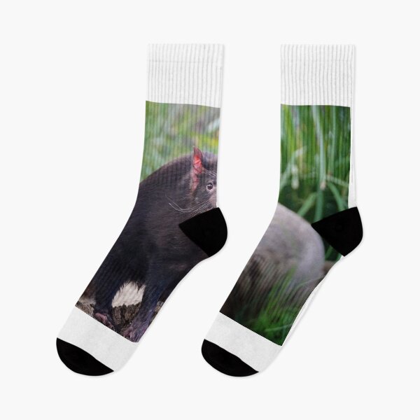 Item preview, Tassie Devil designed and sold by D-GaP.