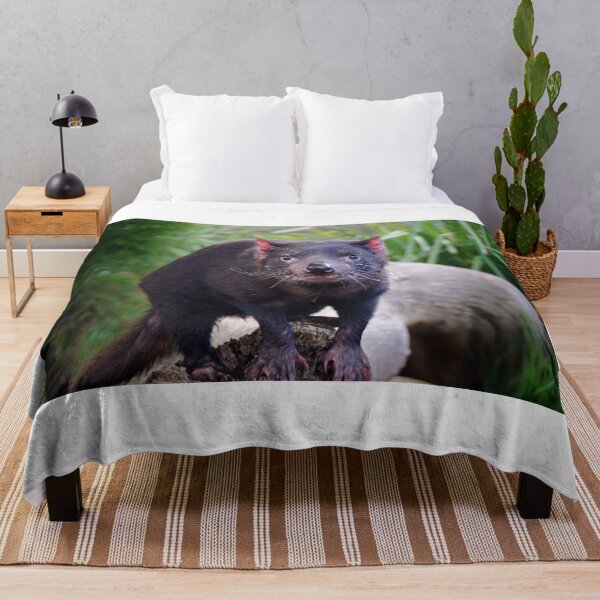 Item preview, Tassie Devil designed and sold by D-GaP.