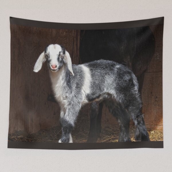 Item preview, winking goat designed and sold by Stephanie  Skeem.