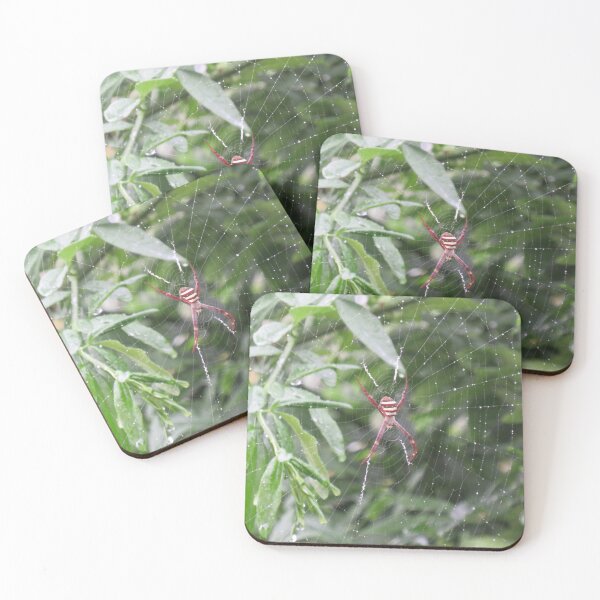 Item preview, Saint Andrew's cross spider after the rain designed and sold by greentiger1.