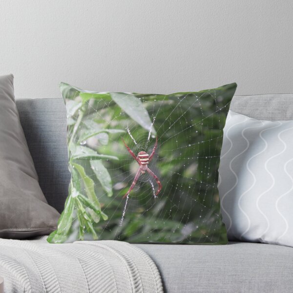 Item preview, Saint Andrew's cross spider after the rain designed and sold by greentiger1.
