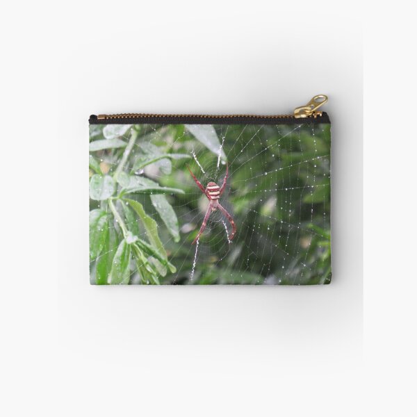 Item preview, Saint Andrew's cross spider after the rain designed and sold by greentiger1.