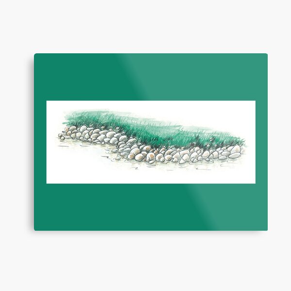 green river Metal Print