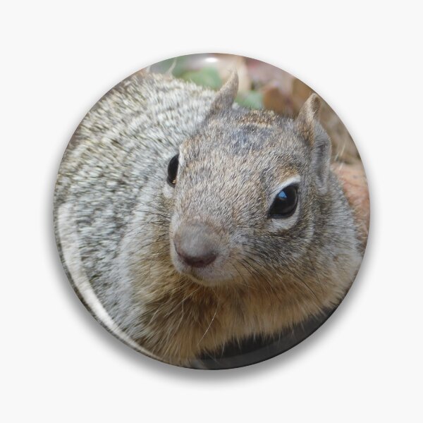 Item preview, Curious Squirrel  designed and sold by Mama-Joe.