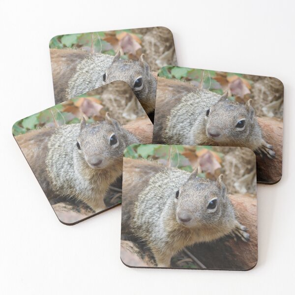 Item preview, Curious Squirrel  designed and sold by Mama-Joe.
