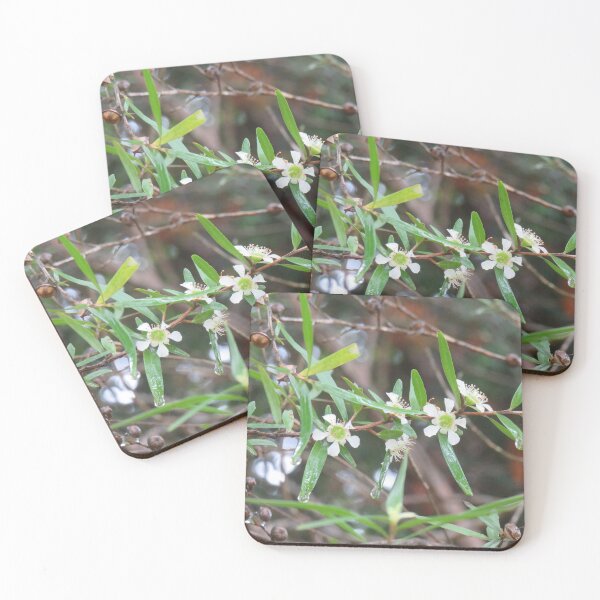 Item preview, Tea tree flowers designed and sold by greentiger1.