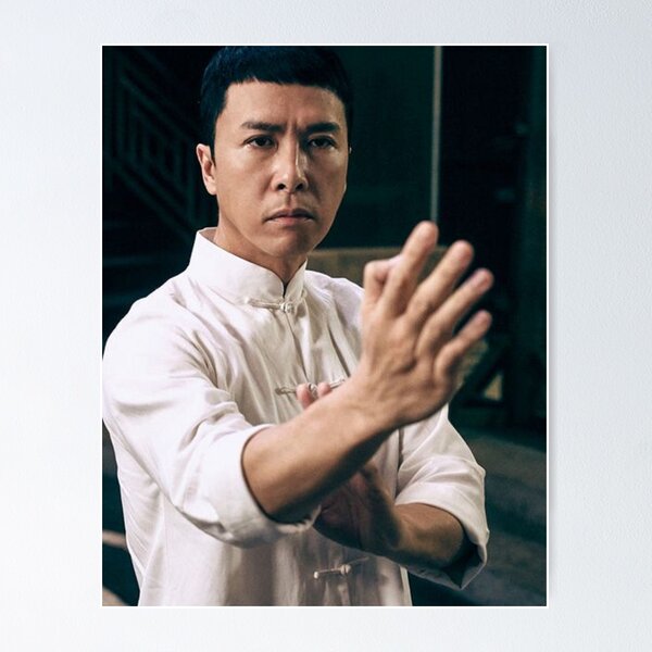 Vista previa del artículo con la obra «Donnie Yen», diseñado y vendido por allin14.
