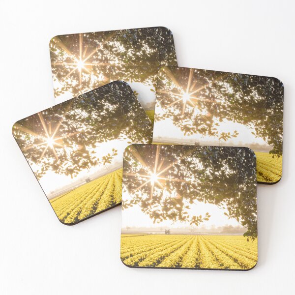 Item preview, Glorious Daffodils! designed and sold by Jim Stiles.