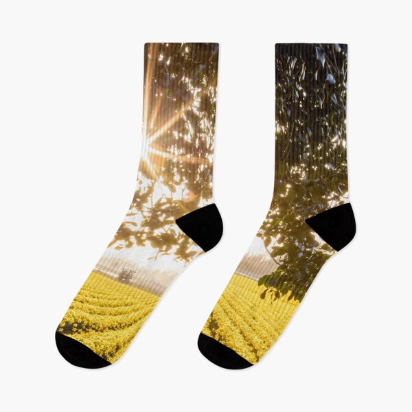 Item preview, Glorious Daffodils! designed and sold by Jim Stiles.