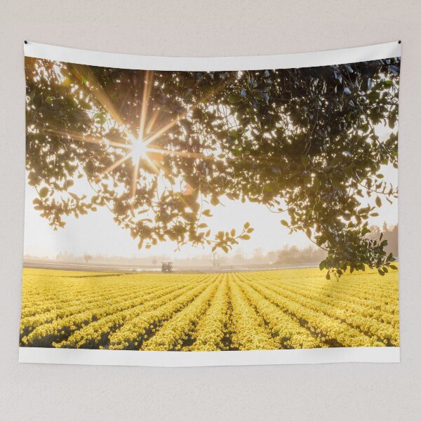 Item preview, Glorious Daffodils! designed and sold by Jim Stiles.