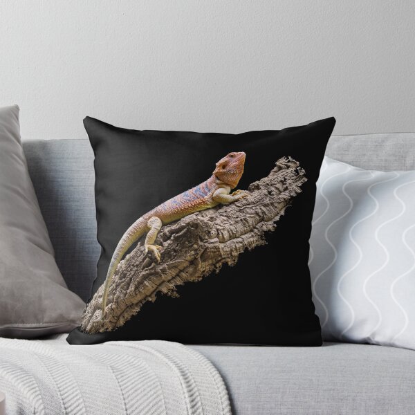 Item preview, Central Bearded Dragon (Pogona vitticeps) designed and sold by CR Media.