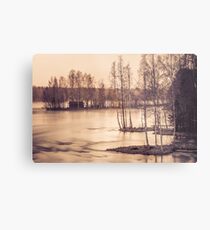 Finally II Metal Print